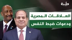 Ali Fawzi: Recent Developments in Egyptian-Sudanese Relations and Calls for Restraint