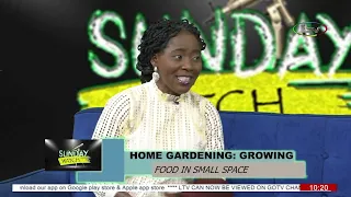 Sunday Watch: Home Gardening — Growing Food in Small Spaces | Guest: Abiodun Williams, Farmer