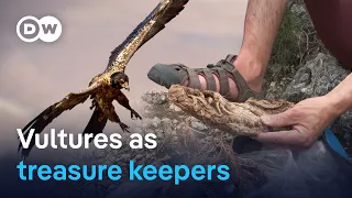 Vultures collected this for 700 years | Focus on Europe