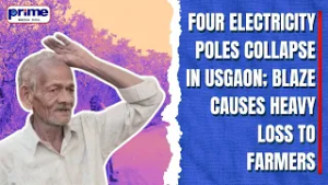 Four Electricity Poles Collapse in Usgaon; Blaze Causes Heavy Loss to Farmers