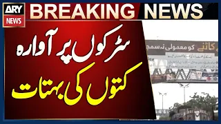 Karachi Struggles with Rising Number of Stray Dogs on Streets