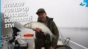 Na stopě dravců na podzimním Dunaji