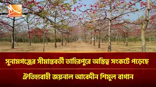 সুনামগঞ্জের সীমান্তবর্তী তাহিরপুরে অস্তিত্ব সংকটে পড়েছে ঐতিহ্যবাহী জয়নাল আবেদীন শিমুল বাগান