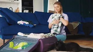 Indoor Cats Left Alone: Vacation Without a Cat-astrophe