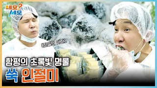 쑥 인절미는 역시 함평ㅋㅋ 초록빛 명물 정복했슴돠 | 네모세모 EP.31