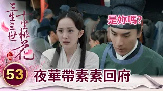 太子雖然失憶了 卻一眼就認出前妻？還將她帶回家？【三生三世十里桃花】精華 EP53-3 楊冪、趙又廷、迪麗熱巴、高偉光、張智堯 @ctvdrama_classic