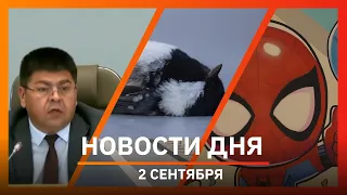 Ufa and Bashkiria News 09/02/26: dead birds, Zatonsky Bridge, TeikaBoom play center review