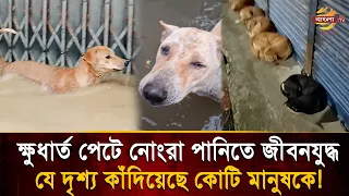 'We are indoors, they are in the water', the streets are their only home, and now those streets a...