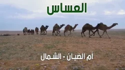 عساس الشمال | أم الضيان - الشمال ( 9 - 4 - 1441 هـ )
