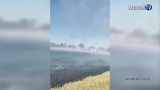 MUSCEL TV NEWS 08/18/2026 TENS OF THOUSANDS OF SQUARE METERS OF VEGETATION CONSUMED BY FLAMES
