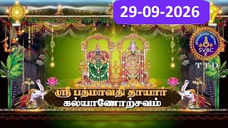 Sri Padmavathi Ammavari || Kalyanotsavam || Tiruchanoor || 29-09-2026 || SVBC2 Tamil || SVBC TTD
