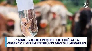 New World Screwworm health alert for livestock will remain in effect until October 28, 2028