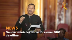Gender ministry under fire over GBV deadline