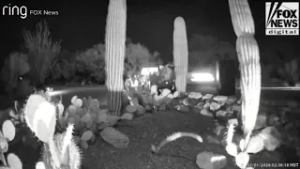 Nancy Guthrie latest: Sheriff investigating ring camera from 2.5 miles away