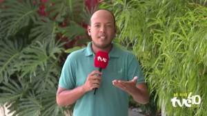 ELEITORES TÊM ATÉ 6 DE MAIO PARA REGULARIZAR TÍTULO DE ELEITOR | TVE REVISTA 19/02/2026