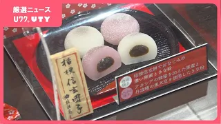 開発のきっかけは所ジョージさんの一言　JR東日本のおみやげグランプリ　甲信越エリア1位に選ばれた桔梗信玄団子　山梨