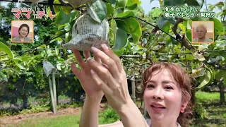 Taking a Big Bite of the Season! Mami-mama & Mika-mama Go on a Parent-Child Fruit Picking Adventu...