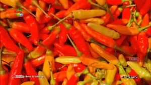 PERMINTAAN PASAR MENINGKAT, HARGA CABE RAWIT KEMBALI NAIK