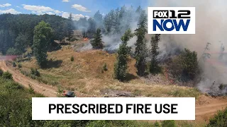 Preparing for wildfires with prescribed burns