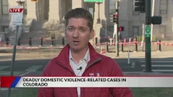 Deadly Domestic Violence-Related Cases in Colorado