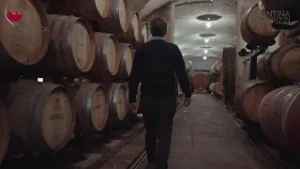 RITRATTI DI GUSTO - Cantina Endrizzi