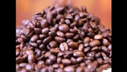 National Assembly plans to declare the province of Loja as the Coffee Capital of Ecuador