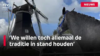 Rolde Horse Market moves after 240 years