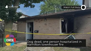 Dog dead, one person hospitalized in Hamilton townhouse fire
