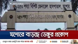 যশোরে বাড়ছে ডেঙ্গু; ২৪ ঘণ্টায় জেলায় আক্রান্ত ১৩জন | Jessore | dengue | news | JamunaTV