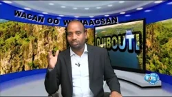 Wacan oo wanaagsan : Tartan u dhexeeya daawadayaasha barnaamijka