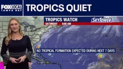 Tropical weather forecast: October 17, 2026