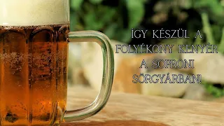 Így készül a folyékony kenyér a soproni sörgyárban