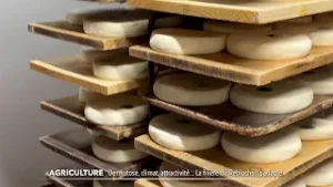 JT du jeudi 5 février 2026