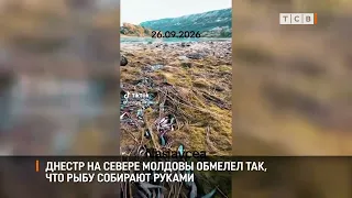 The Dniester in northern Moldova has receded so much that people are catching fish by hand