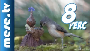 Becorns - összefűzve I MESE.TV (mese, rajzfilm gyerekeknek)