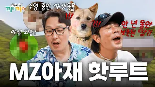 요즘 이 산⛰️ 난리도 아니야~ 수영하는 두더지부터 유네스코도 리스펙 하는 핫플까지! 폼 미친 MZ아재들 루트로 오이데👋🏻 [끼리끼리]ㅣKBS Joy 260812 방송
