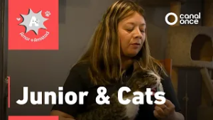 A + A - Junior & Cats (28/02/2026)