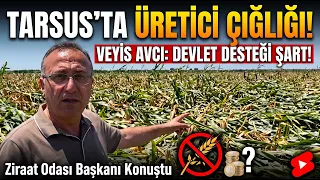 Tarsus Chamber of Agriculture President Veyis Avcı Requests Government Support for Producers @Kan...