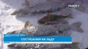 ВСТАЛИ НА ЛЫЖИ