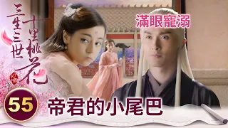 小狐狸又來當跟屁蟲 高冷帝君嘴上嫌棄卻暗爽 承認吧你超愛她的！【三生三世十里桃花】精華 EP55-5 楊冪、趙又廷、迪麗熱巴、高偉光、張智堯 @ctvdrama_classic