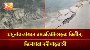 জামালপুরে যমুনার ভাঙনে বসতভিটা-সড়ক বিলীন, দিশেহারা নদীপাড়বাসী | Mohona TV