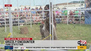 Grizzly Encounter makes appearance at York State Fair