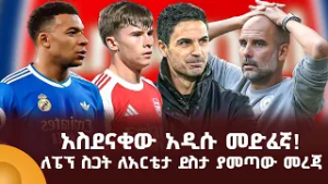 አስደናቂው አዲሱ መድፈኛ! ለፔፕ ስጋት ለአርቴታ ደስታ ያመጣው መረጃ