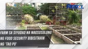 Farm sa siyudad na nagsusulong ng food security bibisitahin ng 'Tao Po' | TV Patrol