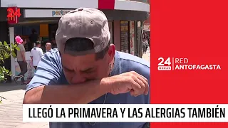 Spring is here, and so are the allergies! | 24 Horas - Red Antofagasta