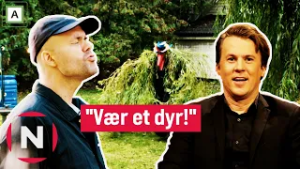 Lars er en ulv, Vidar er en... fugl? | Kongen befaler | TVNorge