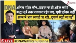 DNA : अनिल पंडित कौन..टाइगर पर ही अटैक क्यों? फ्रांस..इटली..स्पेन, यूरोप में 'अराजकता की चेन'