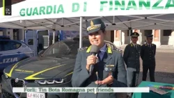 TinBota petfriends