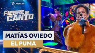 MATÍAS OVIEDO - EL PUMA 🎤 NOCHE DE INSTINTO ANIMAL 🎶 Fiebre de Canto