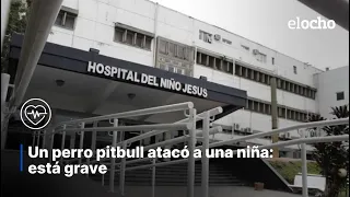 PIT BULL ATTACKED A YOUNG GIRL: SHE IS IN CRITICAL CONDITION